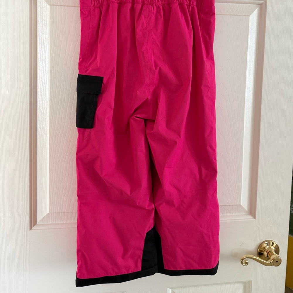 The North Face Fuchsia Snow Bib - Picture 5 of 8